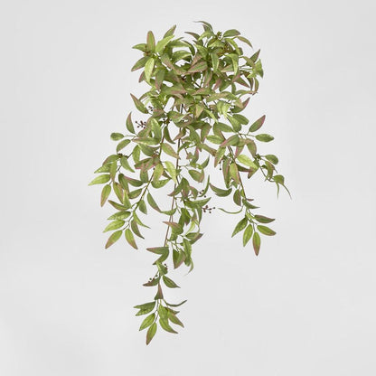 Ruscus Hanging Bush With Berries