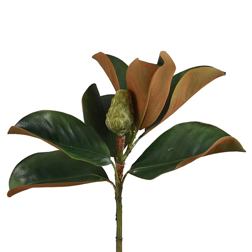 Magnolia Bud 60Cm Green