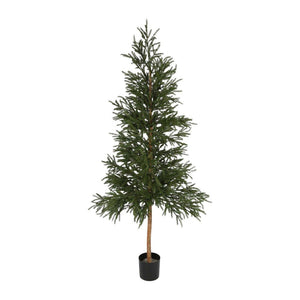 2.2M Picea Christmas Tree With 2035 Leaves