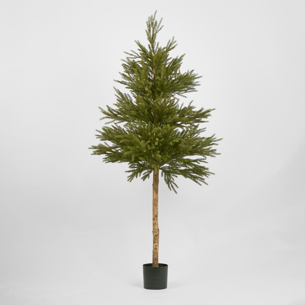 Scandi Spruce Tree 180Cm