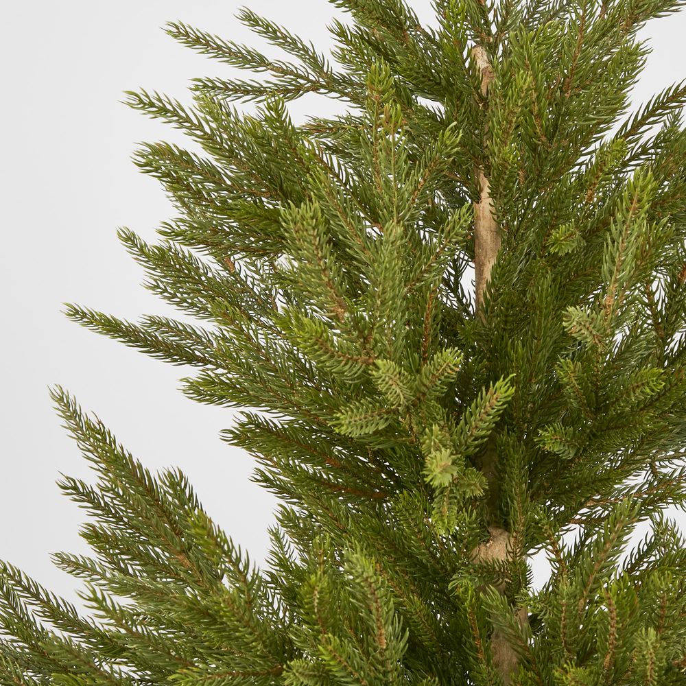 Scandi Spruce Tree 180Cm