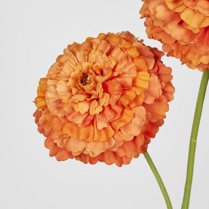 Marigold Spray Orange