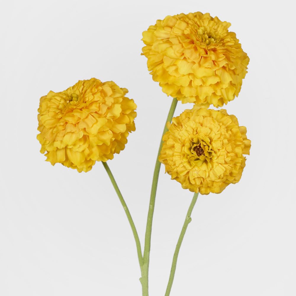 Marigold Spray Yellow