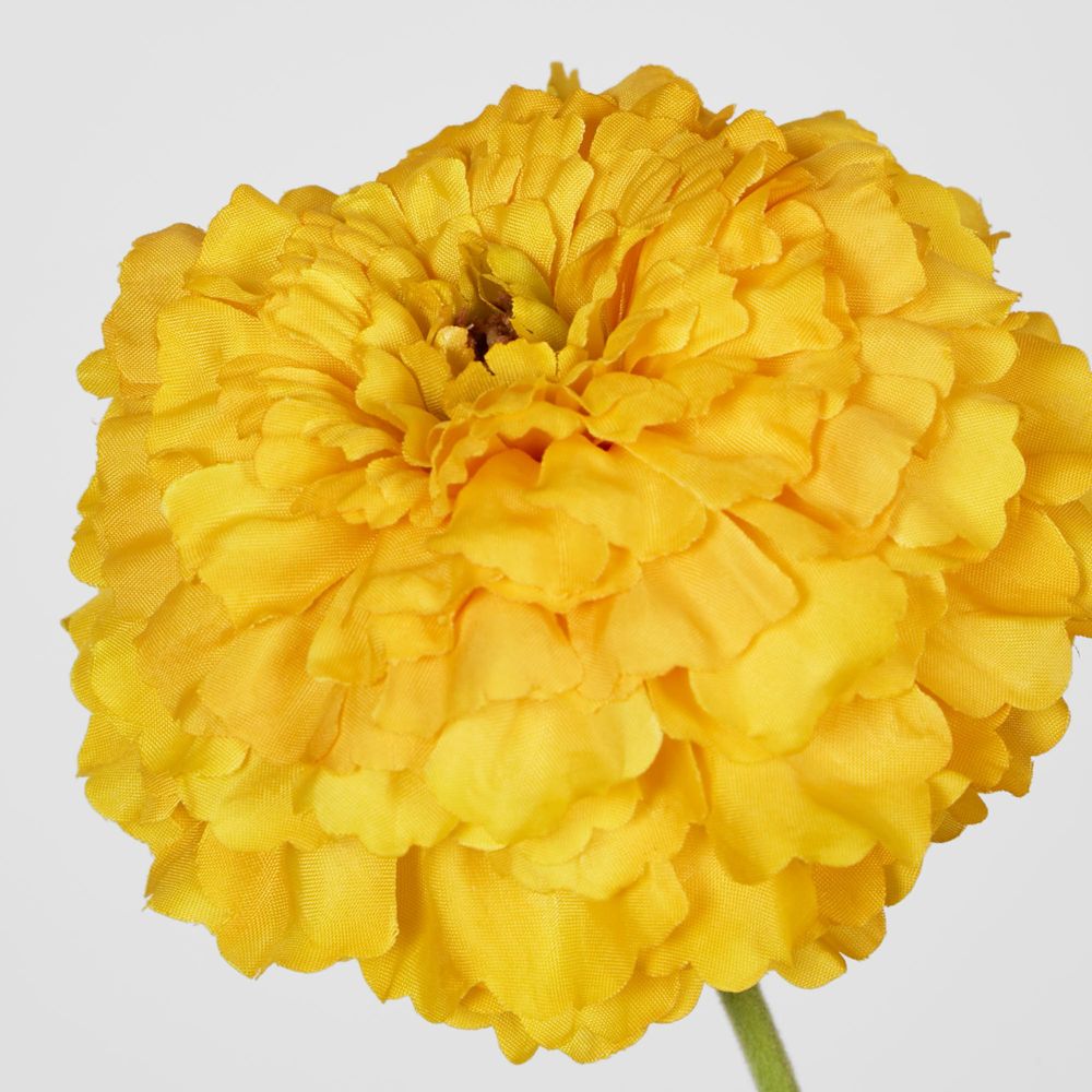 Marigold Spray Yellow