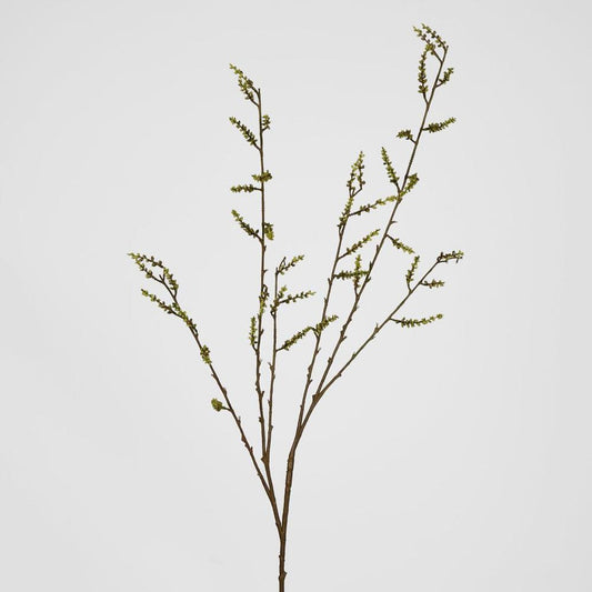 Stachyurus Spray