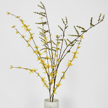 Stachyurus Spray