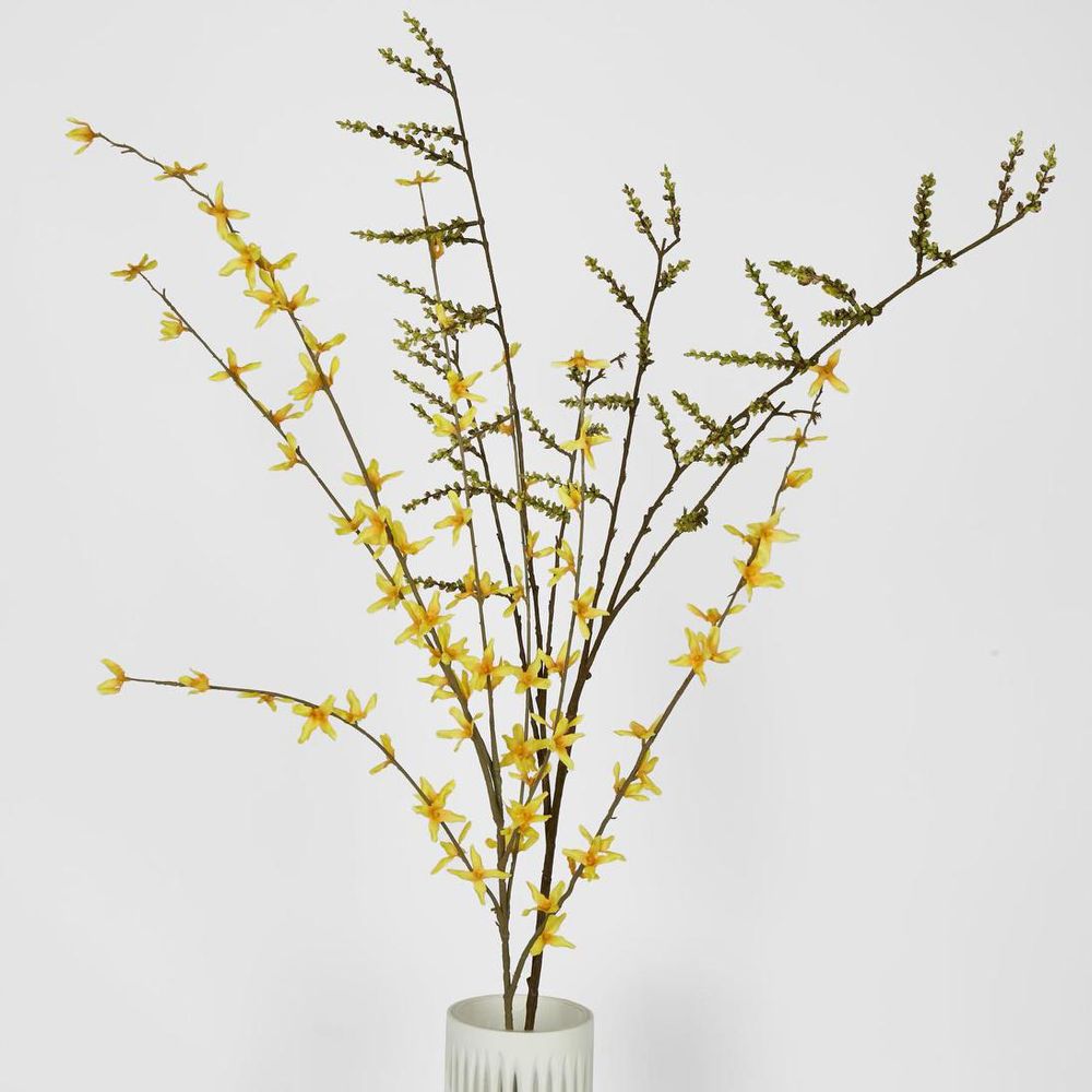 Stachyurus Spray