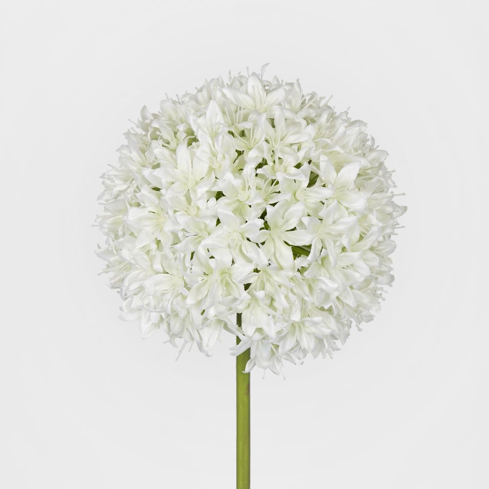 Allium Flower White