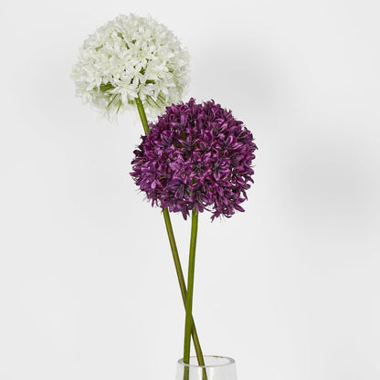 Allium Flower White