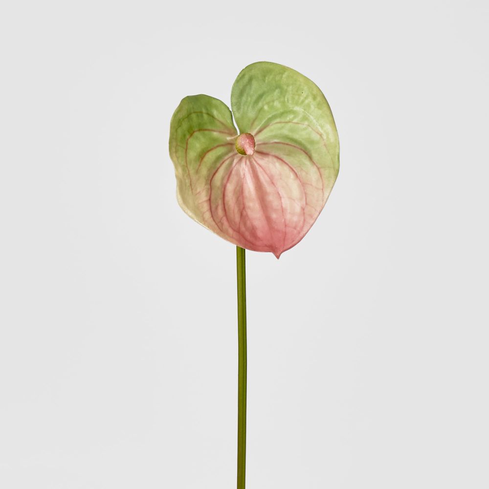 Anthurium Lily Real Touch Pink