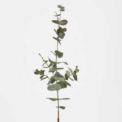 Eucalyptus Spray 74Cm Dark Green