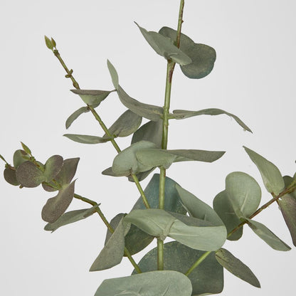 Eucalyptus Spray 74Cm Dark Green