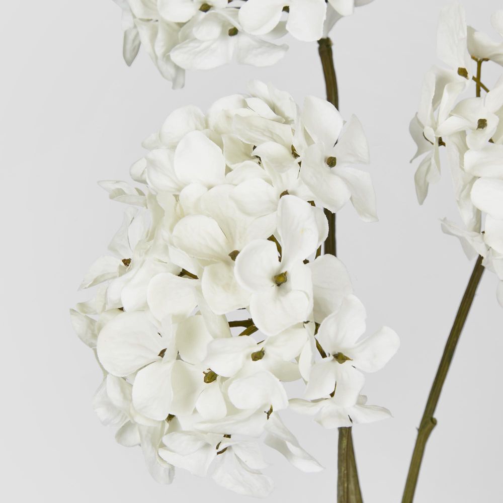 Hydrangea Spray With 3 Heads White