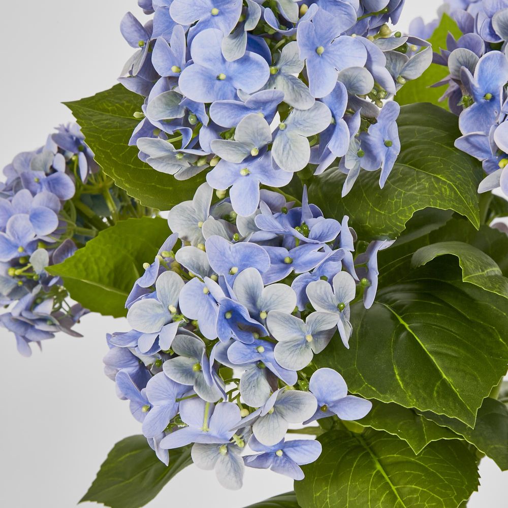 Potted Real Touch Hydrangea Blue 53Cm