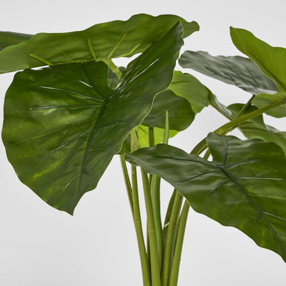 Potted Real Touch Philodendron 50Cm