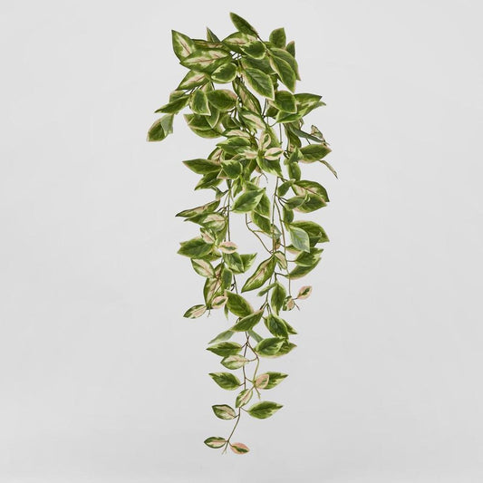 Real Touch Hanging Hoya Leaf Bush 98Cm