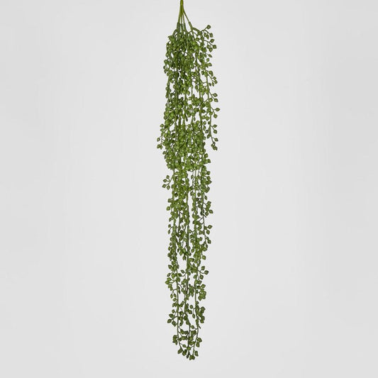 Real Touch Senecio Vine 73Cm