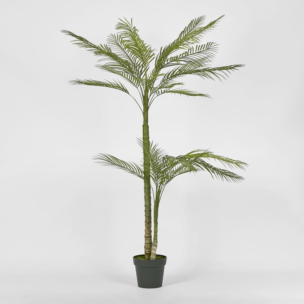 Double Stem Palm Tree 150Cm