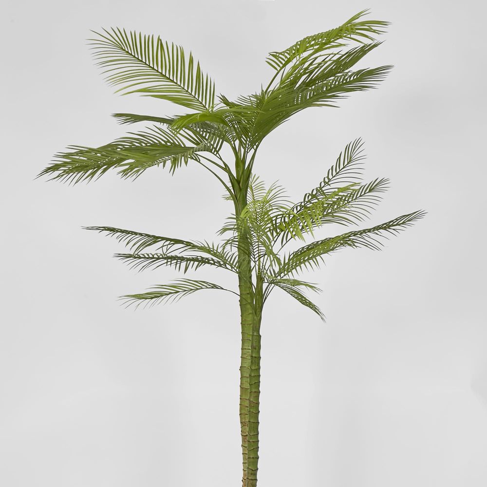 Double Stem Palm Tree 218Cm