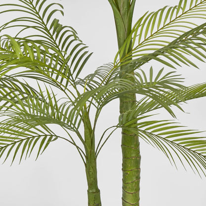 Double Stem Palm Tree 218Cm