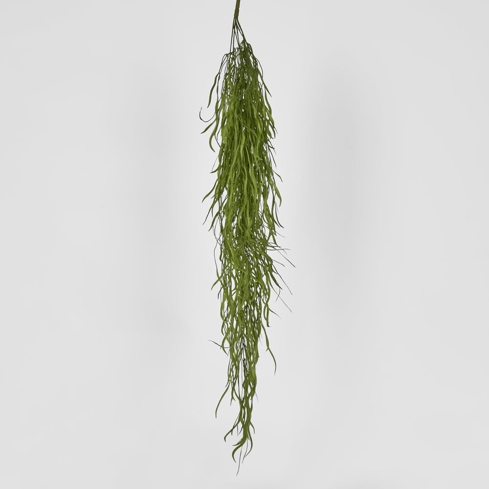 Hanging Grass Vine