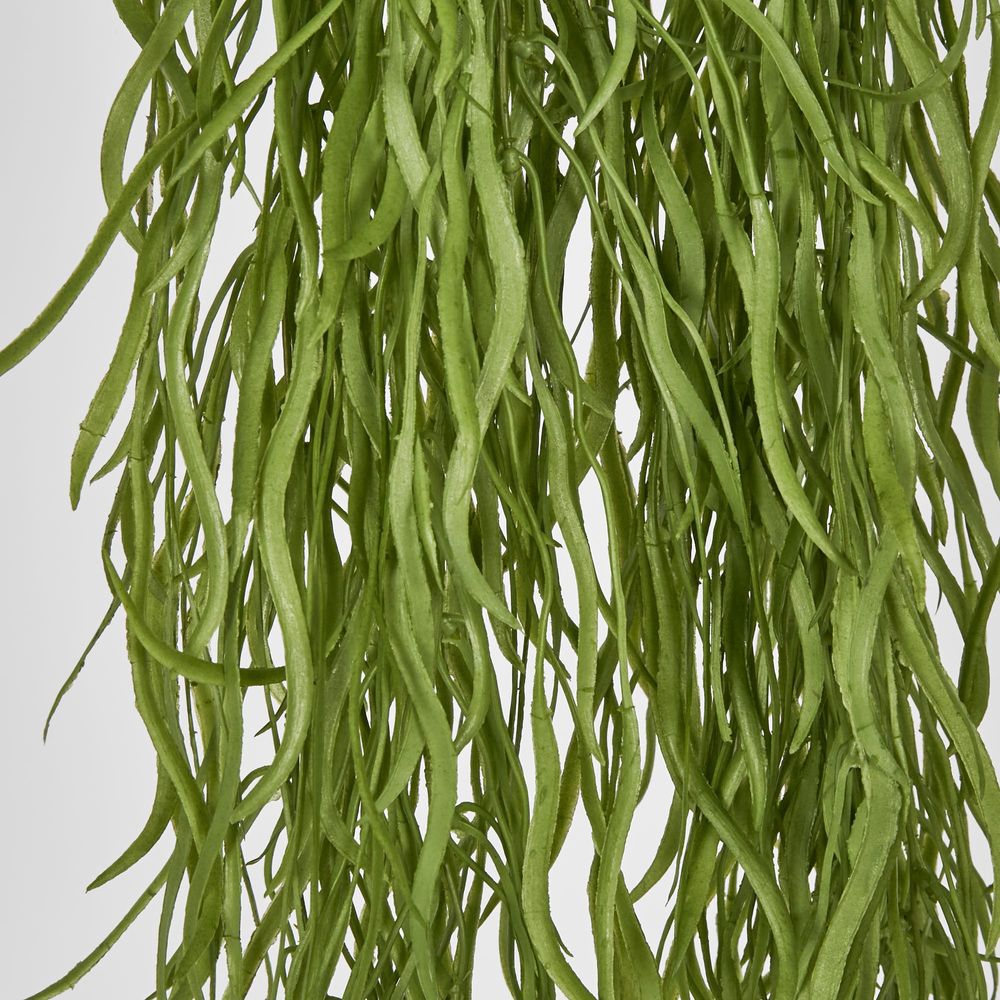 Hanging Grass Vine