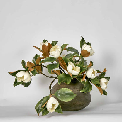 Landis Magnolia Small Arrangement