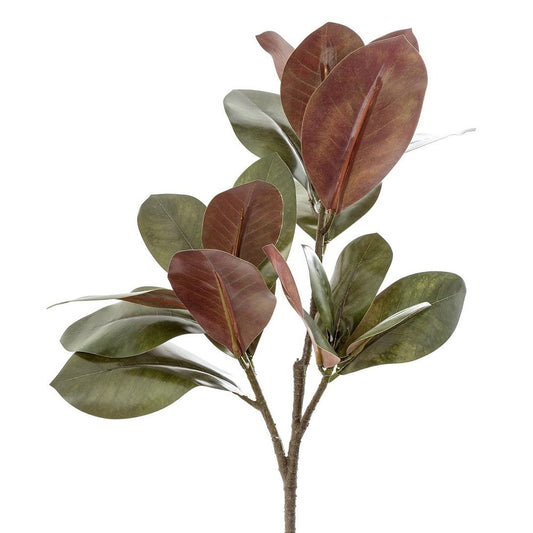 Leaf Magnolia Large 85Cm