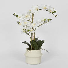 Real Touch Phalaenopsis Arrangement In Zara Pot 58Cm