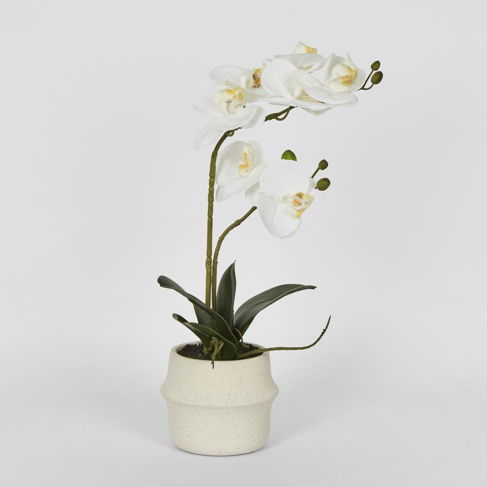 Real Touch Phalaenopsis Arrangement In Zara Pot 46Cm