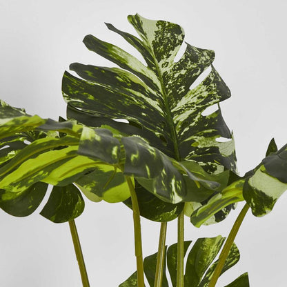 Variegated Real Touch Monstera 75Cm