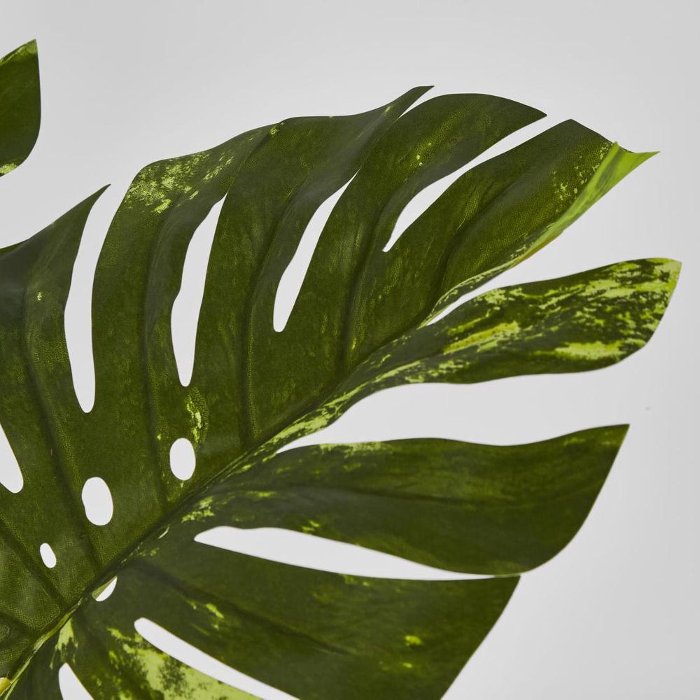 Variegated Real Touch Monstera 75Cm