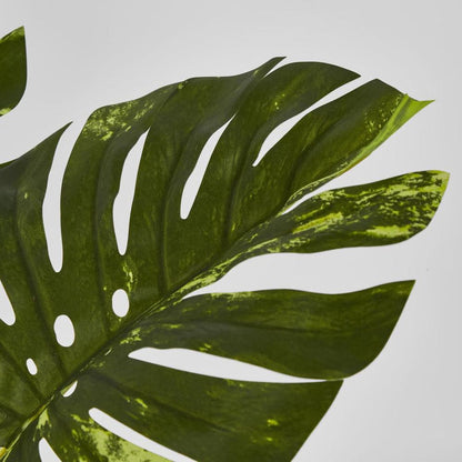 Variegated Real Touch Monstera 75Cm
