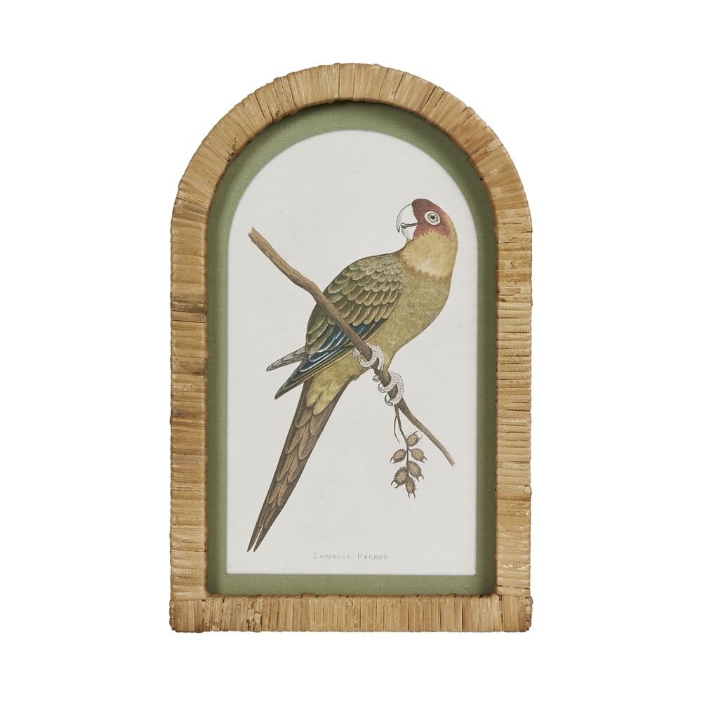 Parrots In Arches Wall Art Set Of 4