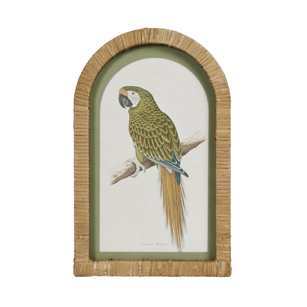 Parrots In Arches Wall Art Set Of 4