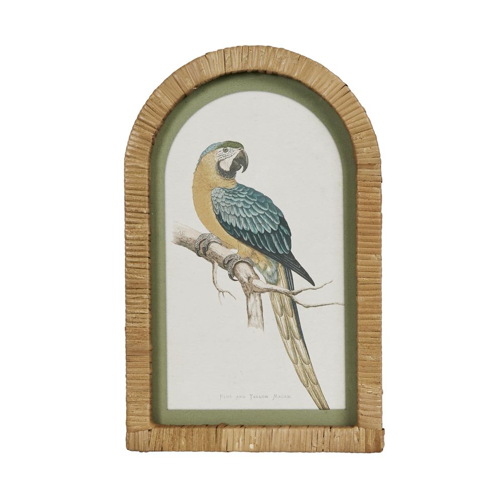 Parrots In Arches Wall Art Set Of 4