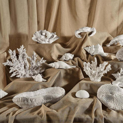 Delmar White Coral 34X13X27Cm