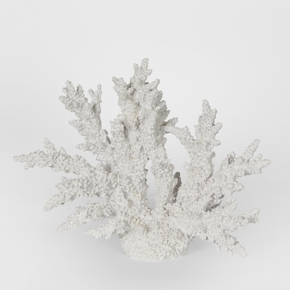 Delmar White Coral 34X13X27Cm