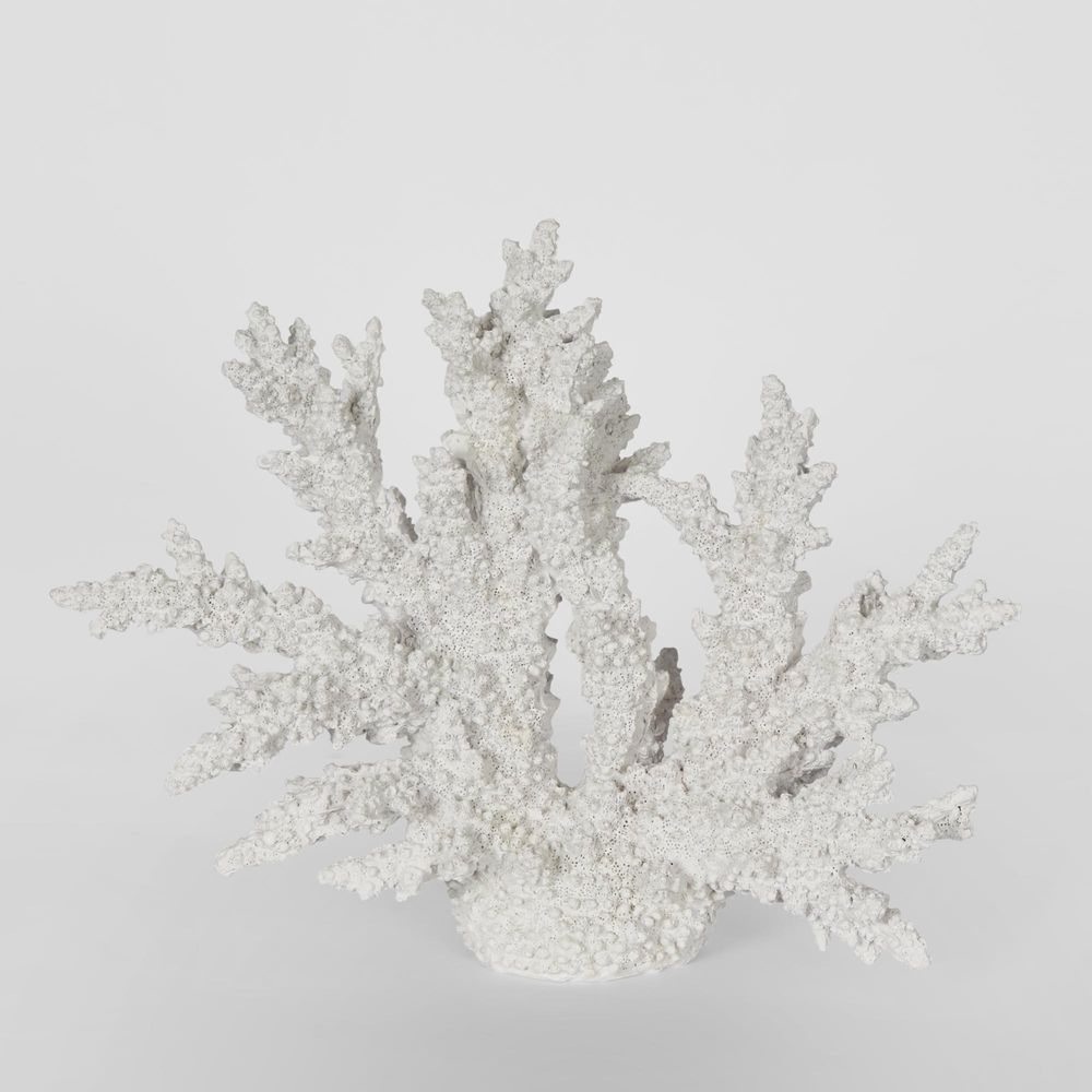 Delmar White Coral 34X13X27Cm