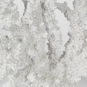 Delmar White Coral 34X13X27Cm