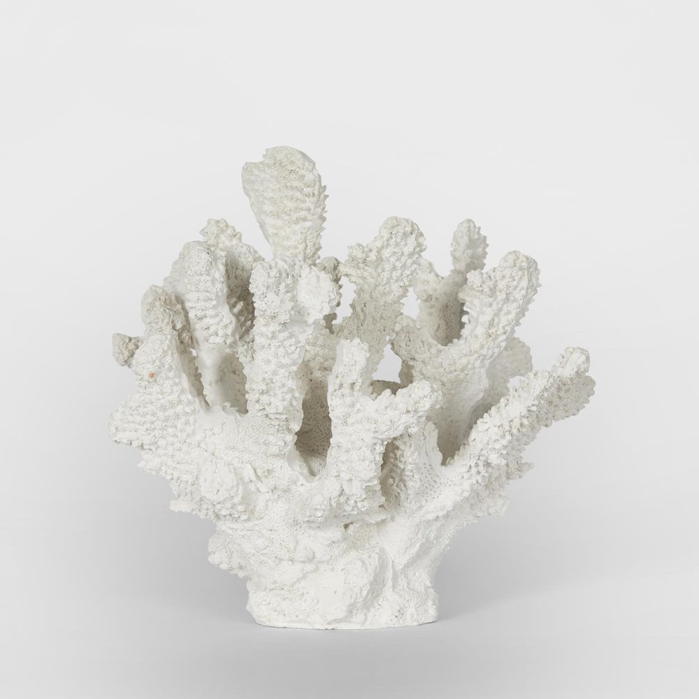 Bay White Coral 19X18X17Cm