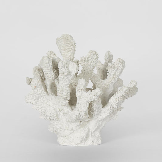 Bay White Coral 19X18X17Cm