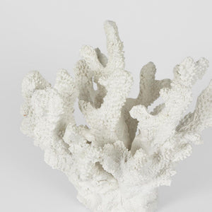 Bay White Coral 19X18X17Cm