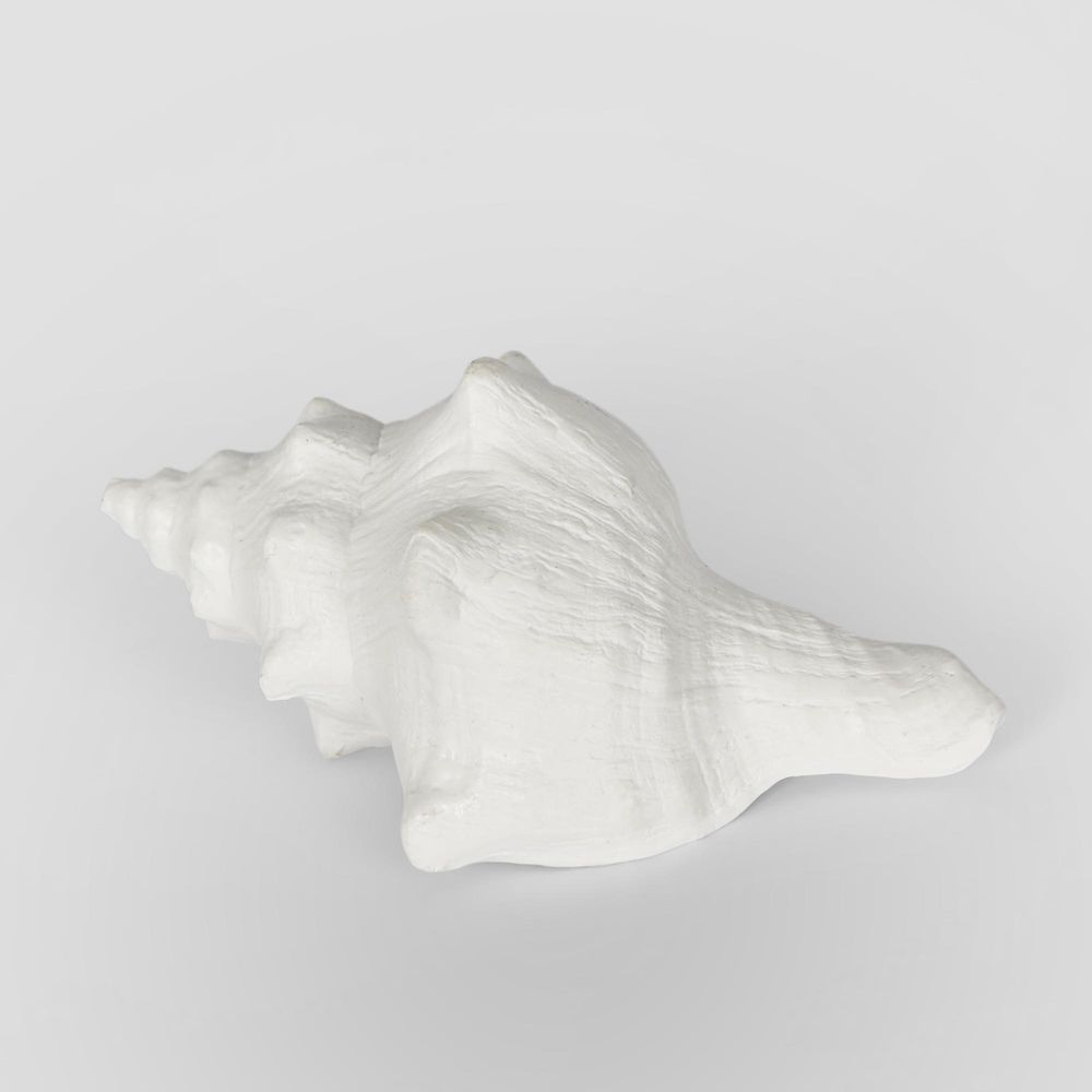 Seb White Sea Snail 12.5X7X5Cm