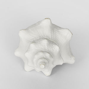 Seb White Sea Snail 12.5X7X5Cm