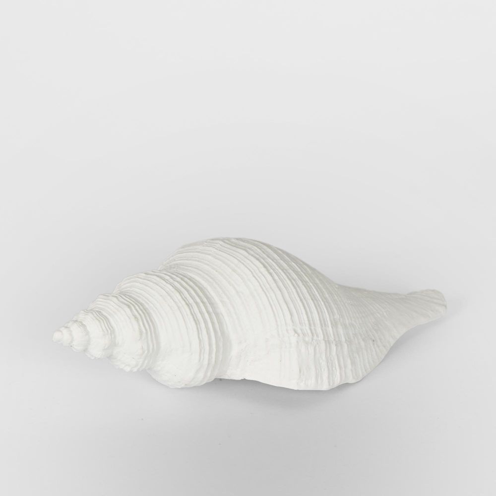 Sara White Sea Snail 23X8X7Cm