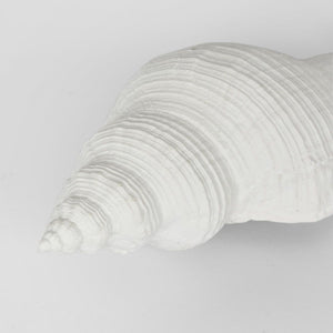 Sara White Sea Snail 23X8X7Cm