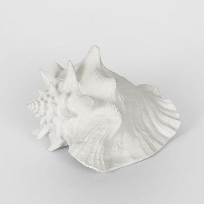 Sandy White Sea Snail 21X19X13Cm