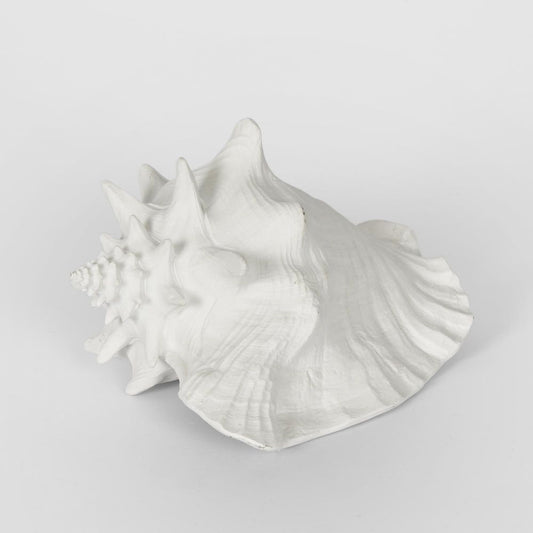 Sandy White Sea Snail 21X19X13Cm