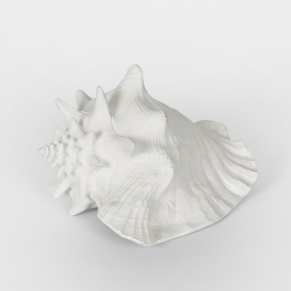 Sandy White Sea Snail 21X19X13Cm